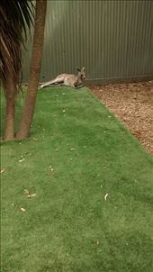 by a_and_a, Views[363]