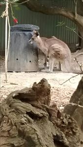 by a_and_a, Views[333]