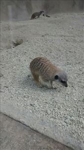 by a_and_a, Views[365]