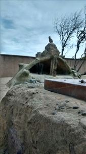 by a_and_a, Views[319]