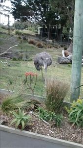 by a_and_a, Views[351]