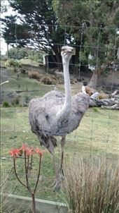 by a_and_a, Views[340]