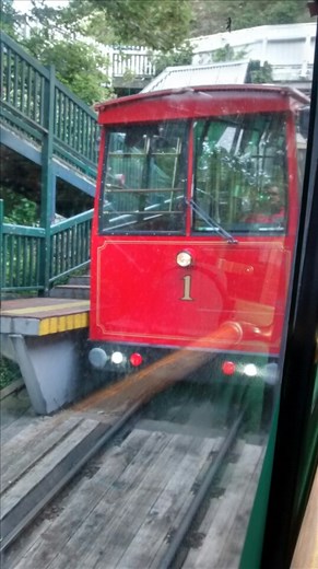 Cable car to Botanic Gardens