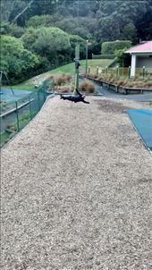 by a_and_a, Views[338]