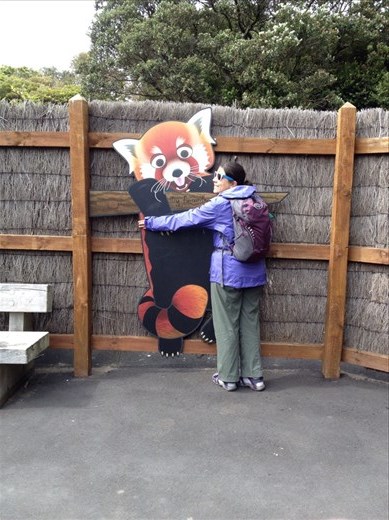 Wellington Zoo