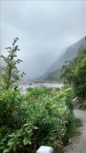 by a_and_a, Views[339]