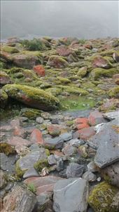 by a_and_a, Views[342]