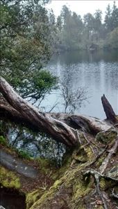 by a_and_a, Views[288]