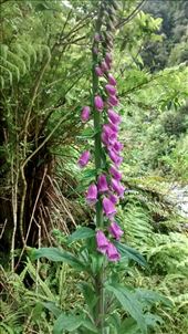 by a_and_a, Views[329]