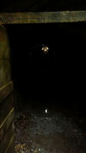 by a_and_a, Views[480]