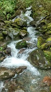 by a_and_a, Views[420]