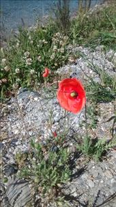 by a_and_a, Views[323]