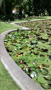 by a_and_a, Views[358]