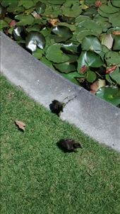 by a_and_a, Views[360]