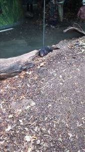 by a_and_a, Views[137]