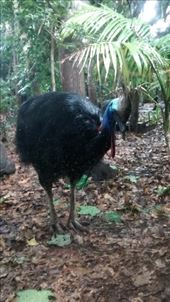 by a_and_a, Views[186]