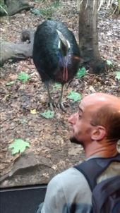 by a_and_a, Views[131]