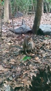 by a_and_a, Views[167]