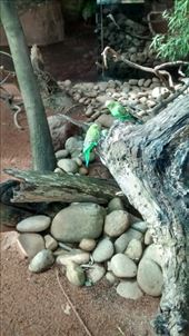 by a_and_a, Views[157]