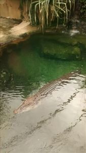 by a_and_a, Views[178]