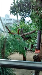 by a_and_a, Views[192]