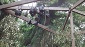 Lone Pine Koala Sanctuary, Brisbane: by a_and_a, Views[126]