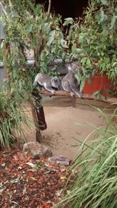 by a_and_a, Views[163]