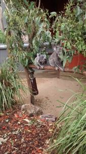 by a_and_a, Views[138]