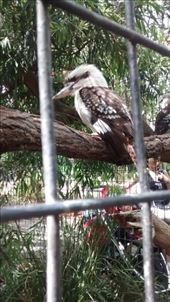 by a_and_a, Views[161]