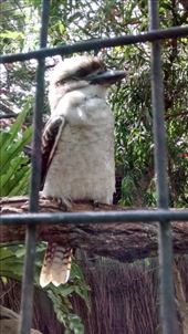 by a_and_a, Views[177]