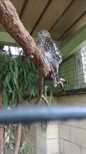 by a_and_a, Views[140]