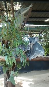 by a_and_a, Views[132]