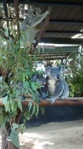 by a_and_a, Views[157]