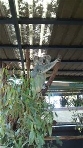 by a_and_a, Views[133]