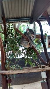 by a_and_a, Views[131]