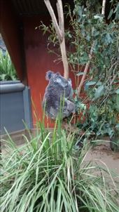 by a_and_a, Views[138]