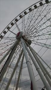 Eye of Brisbane: by a_and_a, Views[144]