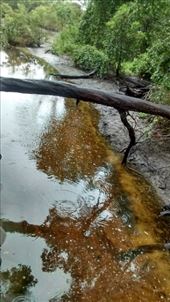 by a_and_a, Views[161]