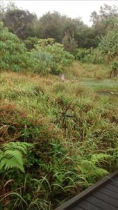 by a_and_a, Views[167]