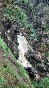 by a_and_a, Views[157]