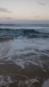 by a_and_a, Views[185]