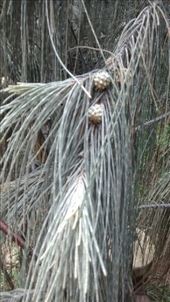 by a_and_a, Views[161]