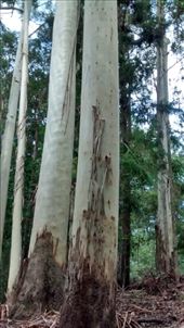 by a_and_a, Views[141]