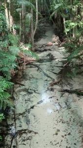 by a_and_a, Views[158]