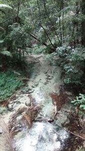 by a_and_a, Views[136]