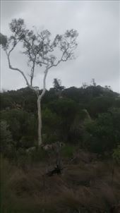 by a_and_a, Views[148]