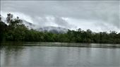 Daintree Rainforest: by a_and_a, Views[151]