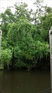 by a_and_a, Views[160]