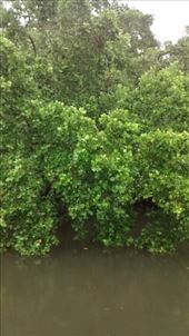 by a_and_a, Views[135]