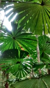 by a_and_a, Views[142]